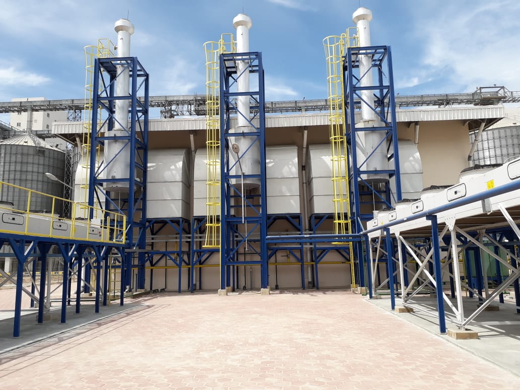Project gas enginen generator bfm